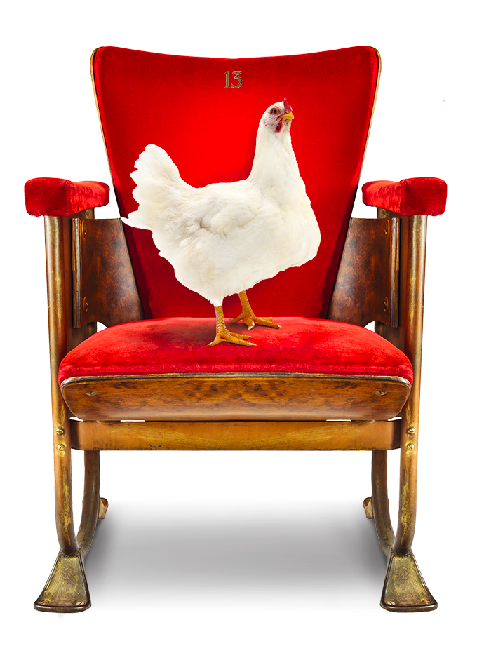 Teatro di Cortile Palazzo Firrao